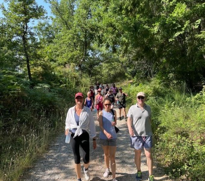 Group of hikers walks sunny forest path surrounded by green foliage