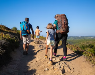 family-travelers-with-backpacks-walking-track-parents-two-kids-hiking-outdoors-back-view-active-lifestyle-adventure-tourism-concept_74855-11685